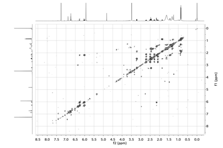 nmr cosey spectrum of new compounds