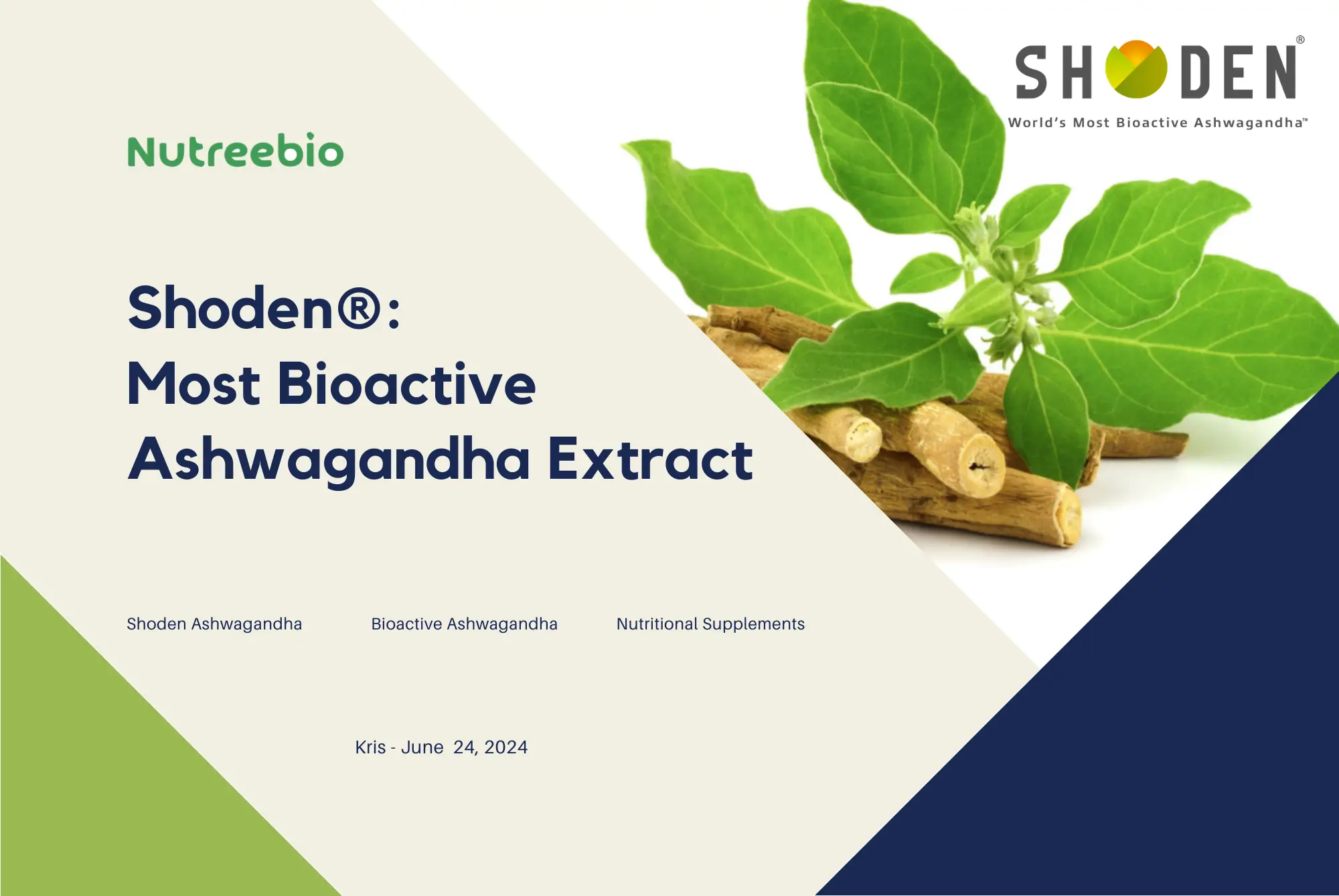 shoden® the world's most bioactive ashwagandha extract