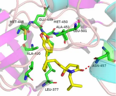 three dimensional renderings of new compounds and target protein syk