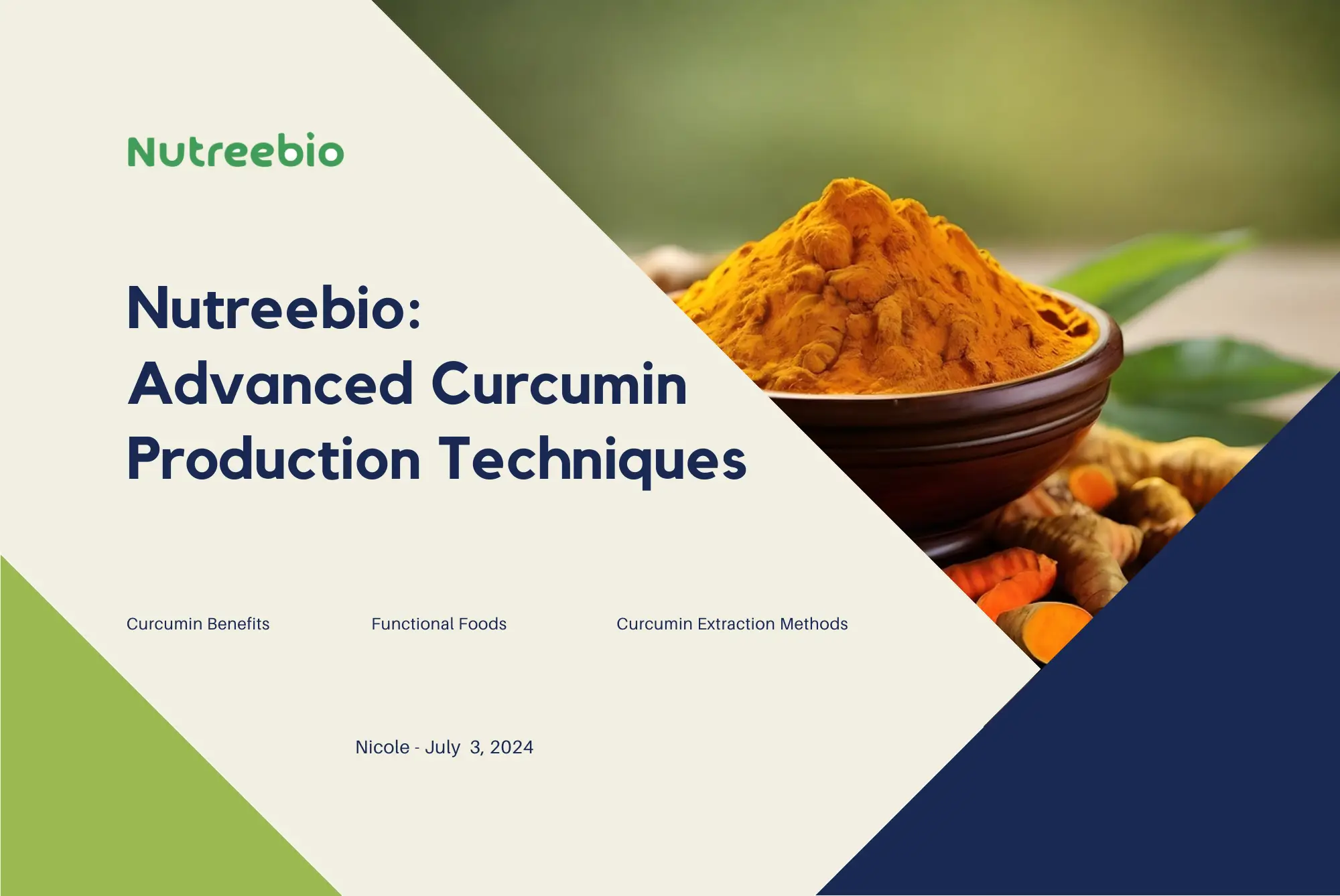 advanced curcumin production techniques by nutreebio