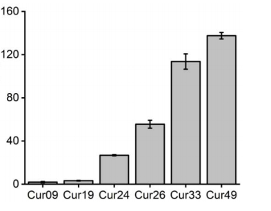 curcumin mgl production of different recombinant e. coli in fermentation medium