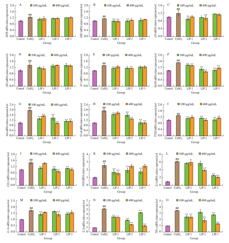 effects of three types of honeysuckle polysaccharides on the mrna expression levels of transcription factors inflammatory proteins and cytokines in zebrafish