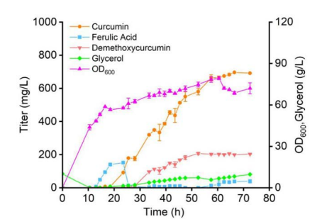 production of recombinant e. coli cur49 in a 5 l fermenter