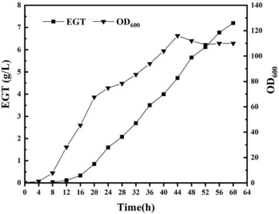 egt fermentation process curve