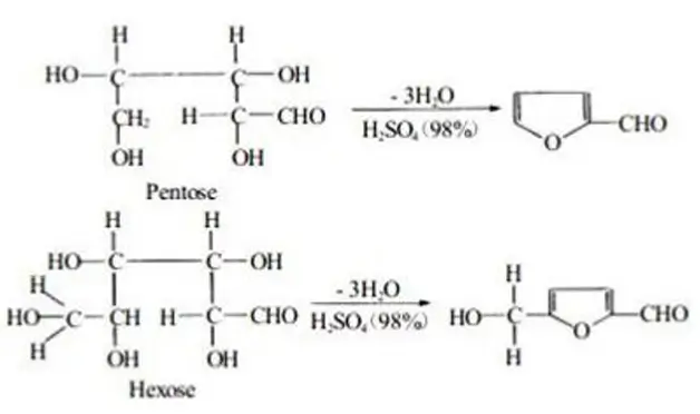 reaction principle diagram of polysaccharide content determination using phenol sulfuric acid method