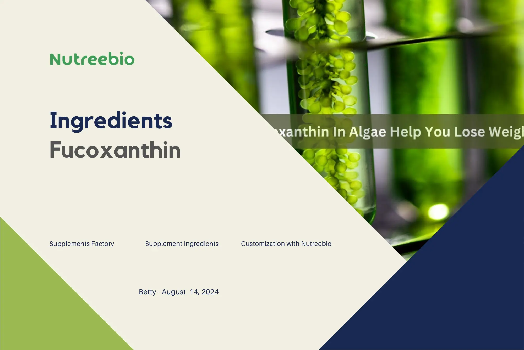 unlock nature's secret powerful fucoxanthin antioxidant boost