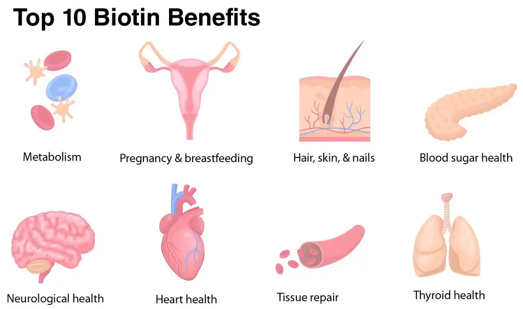 biotin benefits