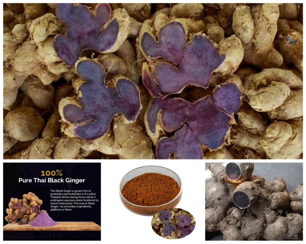 black ginger health elixir