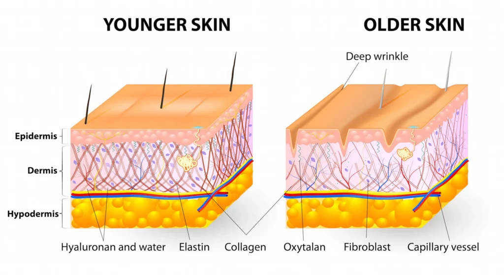 skin comparison collagen treatments scaled 1