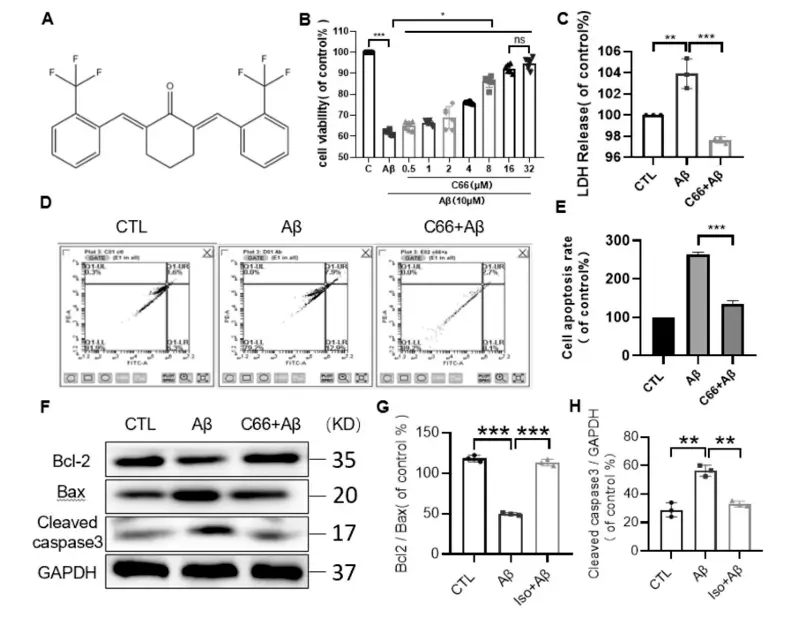 c66 reduces aβ1‑42 induced apoptosis in pc12 cells