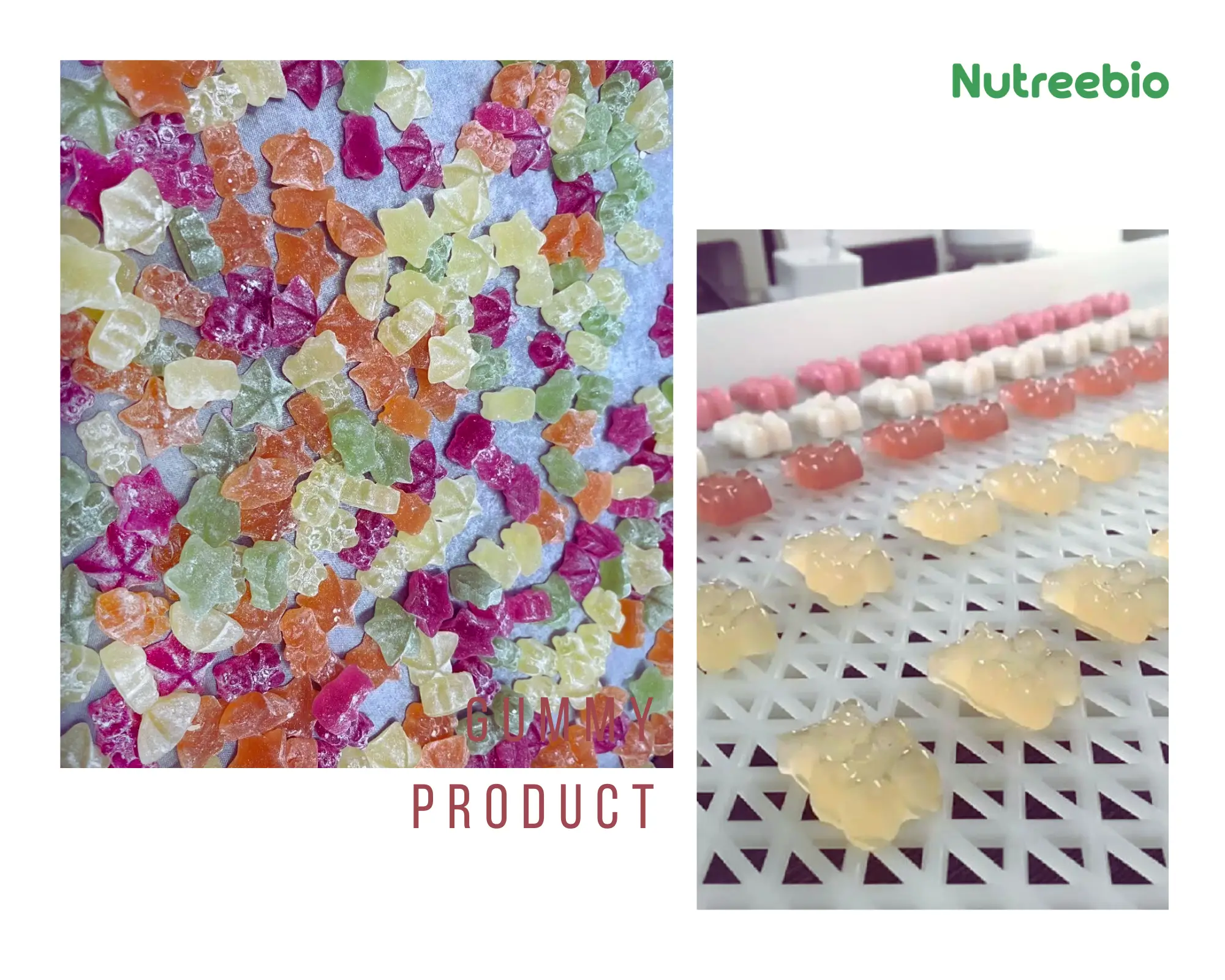 nutreebio product gummy case