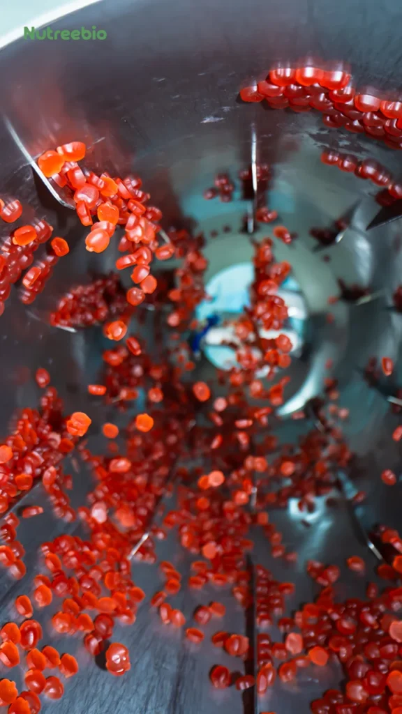 dsc 6971 已增强 nr 拷贝