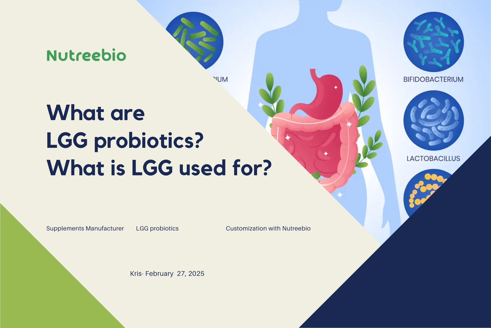 what is lgg probiotics used for