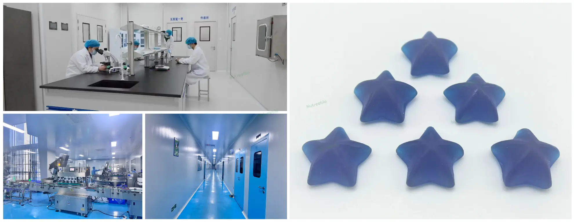 dietary gummies factory formulation, benefits & global launch