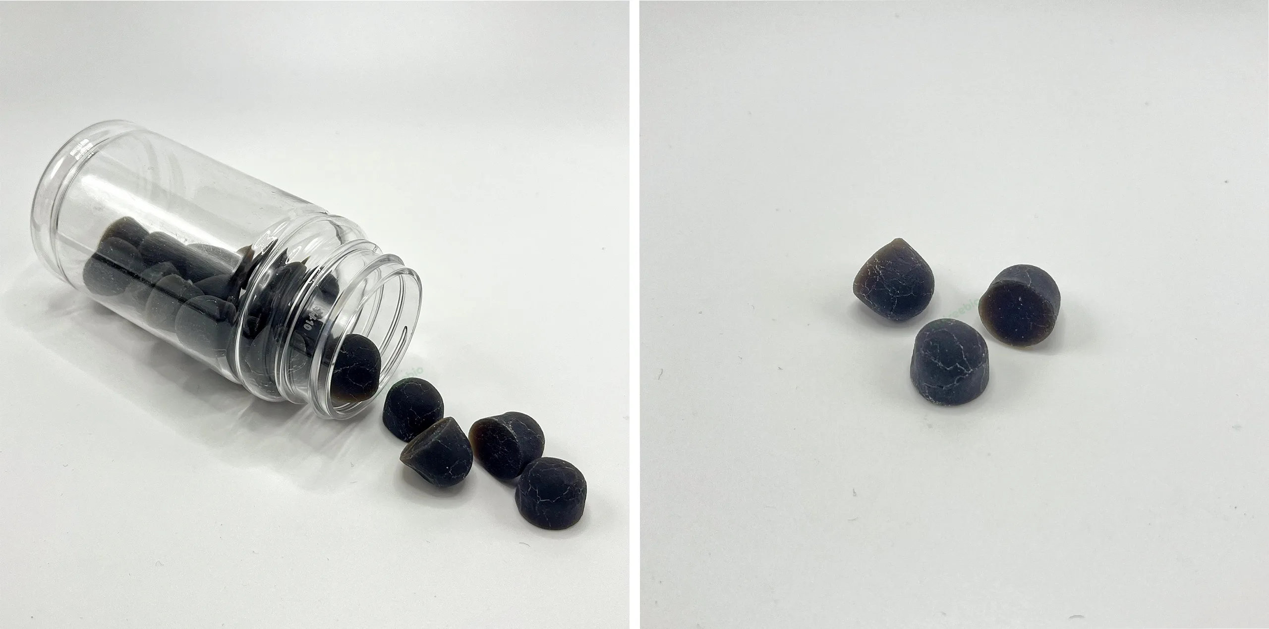 shilajit gummies sample