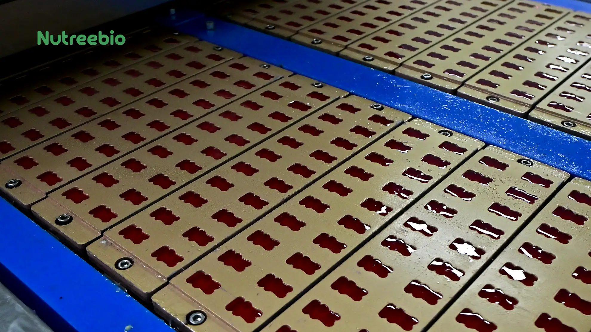Gummies Depositing & Molding
