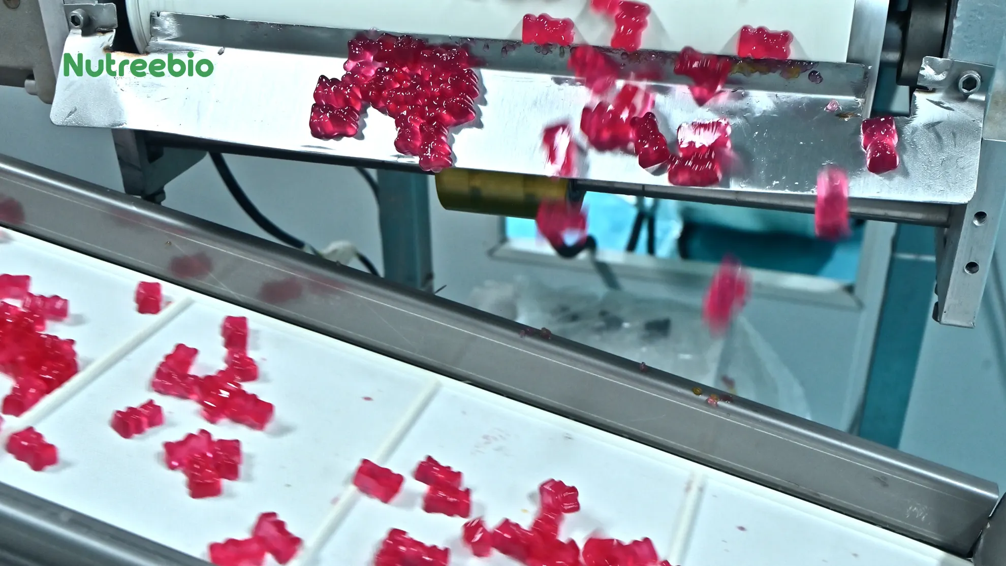 Gummies Demolding & Conveying