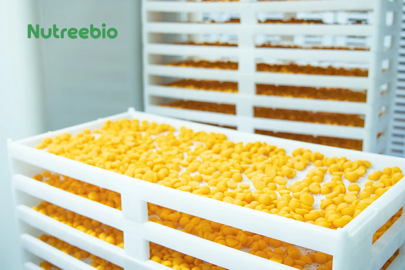 Gummies Drying