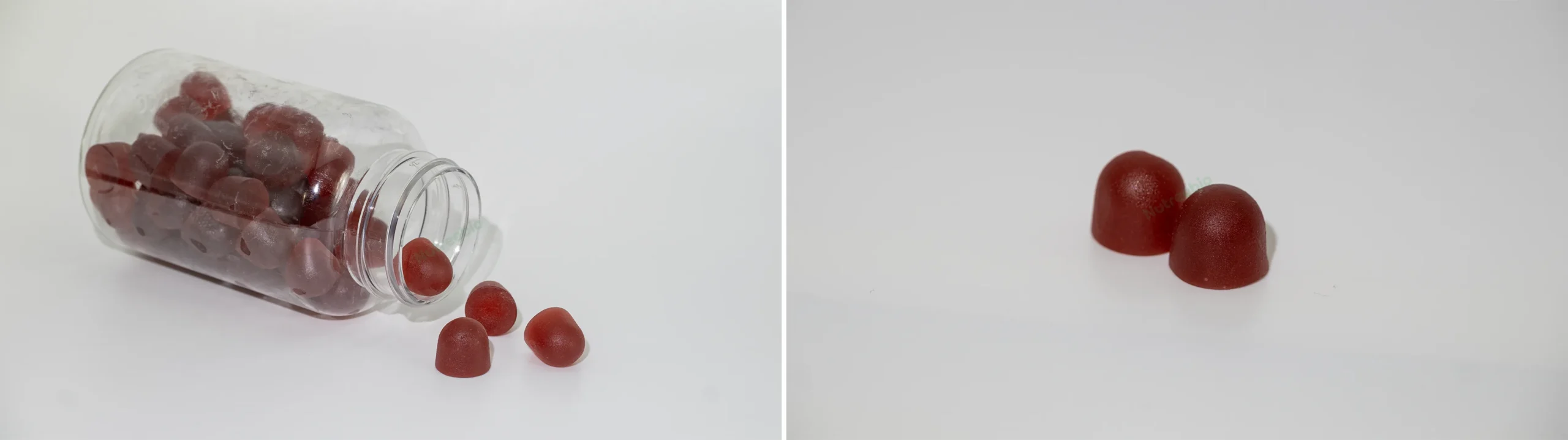 black seed oil gummies