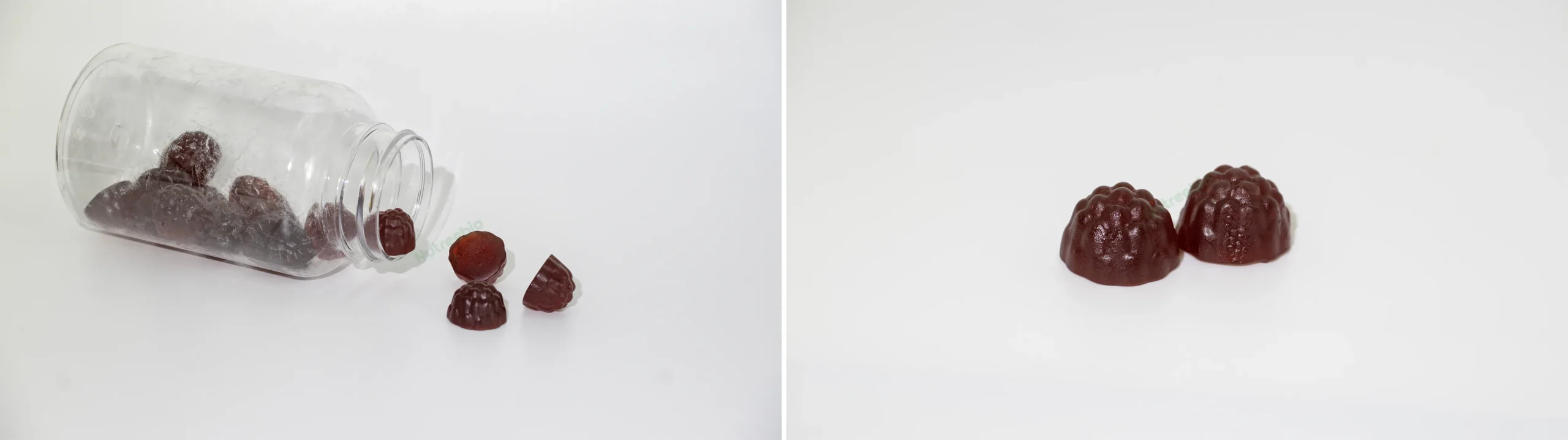 shilajit gummies